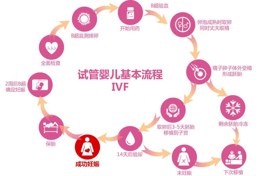 瑞丽捐卵试管生男孩背后的科学探索